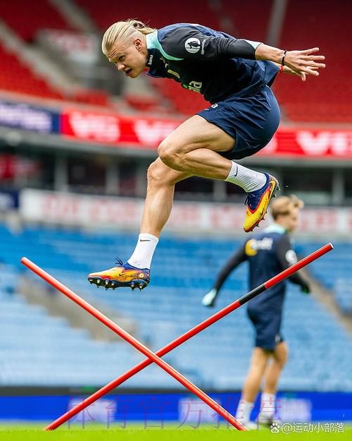 世界杯阿根廷哈兰德战术分析全面分析 世界杯阿根廷哈兰德战术分析全面分析